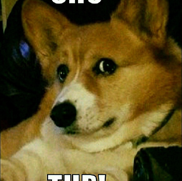 Meet your Posher, Michelle - Picture 1 of 1